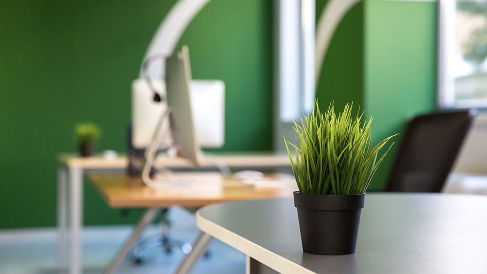 Bright office with plant